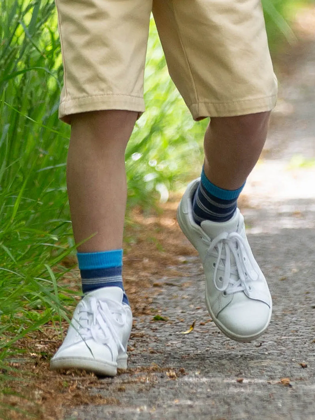 Kite Shark Socks